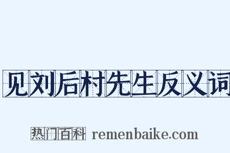 见刘后村先生反义词是什么意思的图片